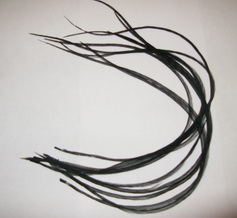 ���� Dry Fly (��� ����� ���) 10 �� ������ , ������ � 16
